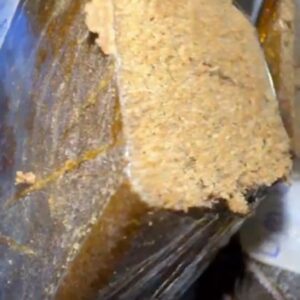 05 - ICC x RNTZ 160/73u