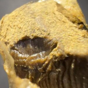 04 - KMNTOGxRNTZ 190/45u